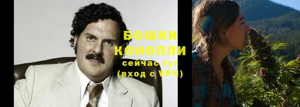 spice Пересвет