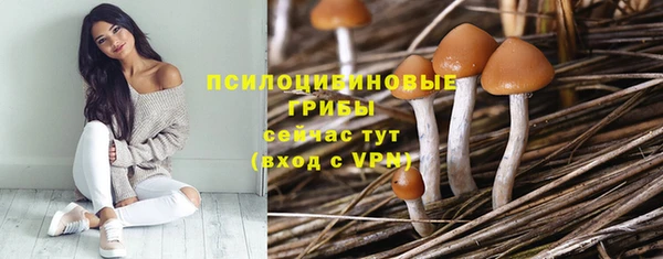 сатива Переславль-Залесский