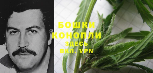 spice Пересвет