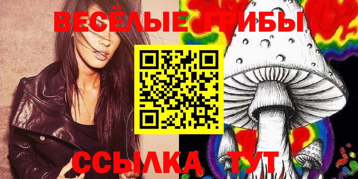 Галлюциногенные грибы Psilocybine cubensis  Апшеронск  Галлюциногенные грибы Magic Shrooms 