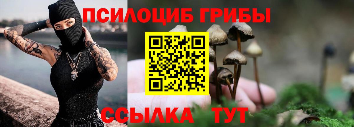 Апшеронск  Галлюциногенные грибы Psilocybe  магазин продажи наркотиков  Вход с VPN 
